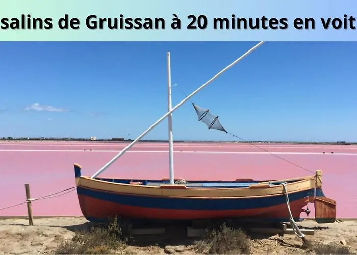 Apartamento Le Cosy Narbona